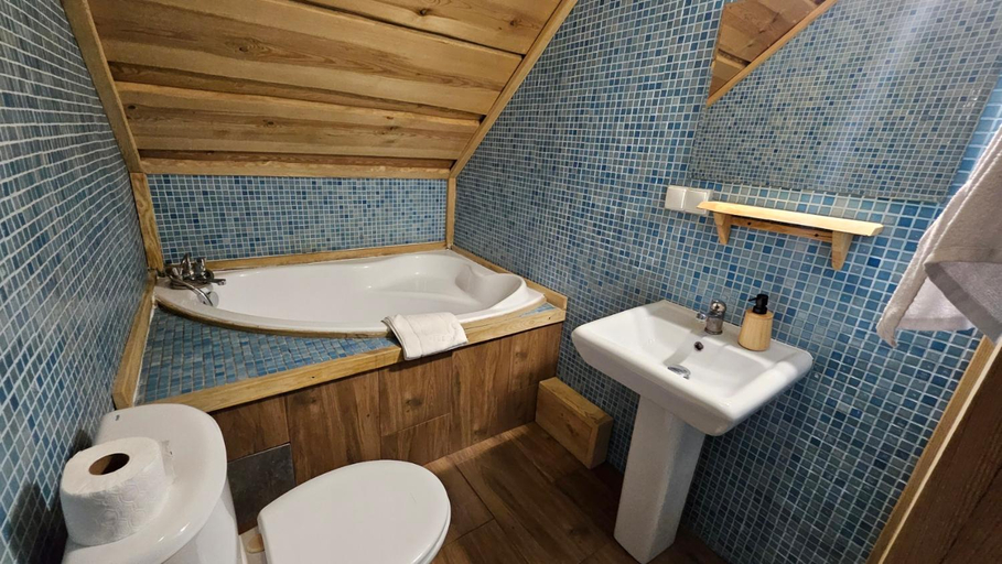 Bathroom 3, Wyspa Kampinos, Sochaczew