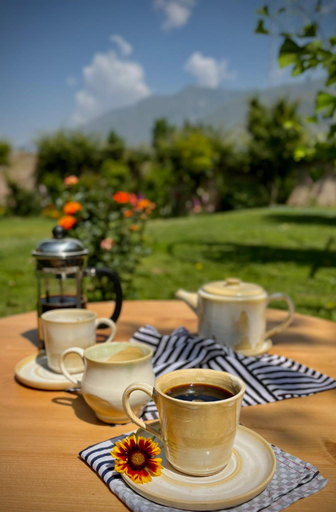 Food & Drinks 5, Hotel Nadis, Srinagar