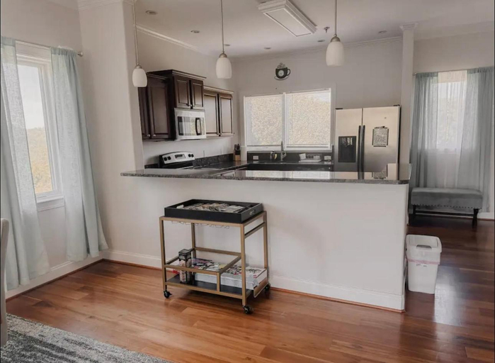 Others 5, Modern Condo in the Smokies, Sevier