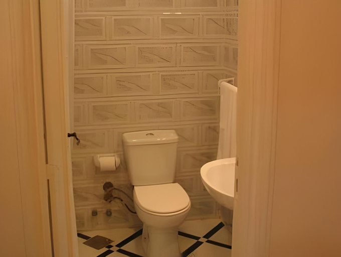 Bathroom 4, Karnak Hotel, Luxor