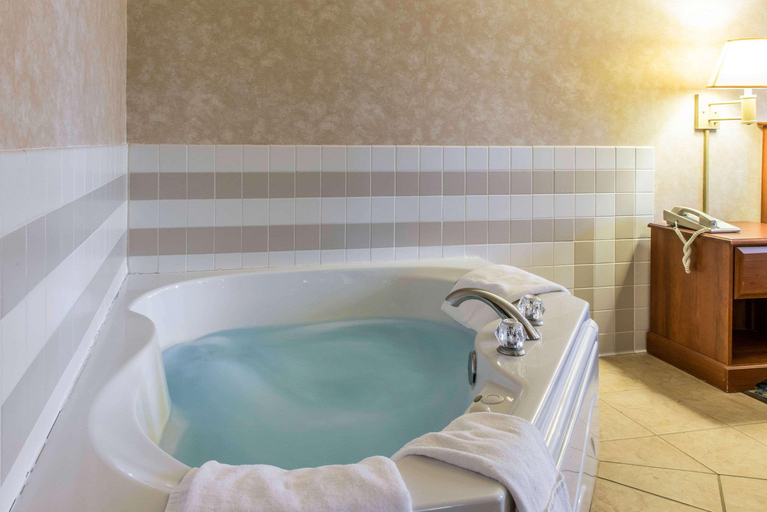 Bathroom, Quality Inn Suites Titusville, Crawford