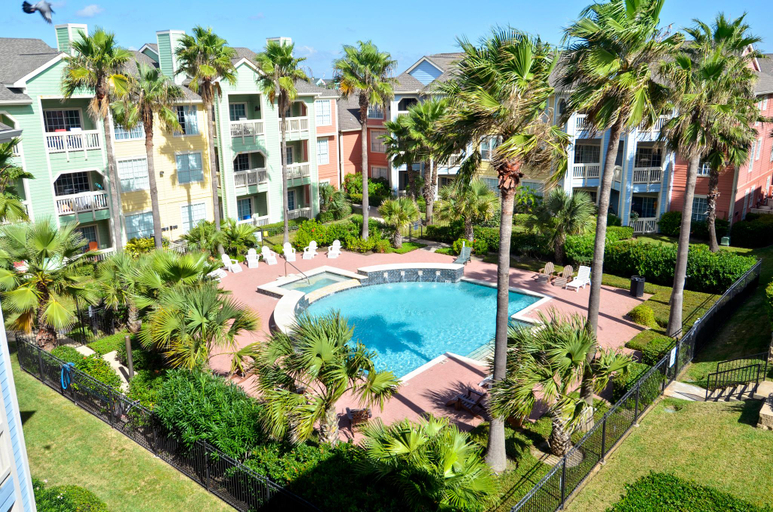 Sport & Beauty 2, Dawn 223- Buena Vista, Galveston