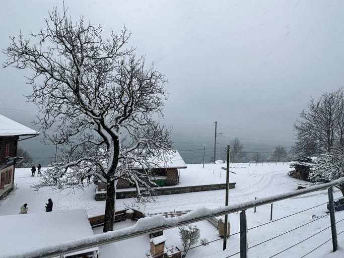 Others 5, Lake View Residence, Interlaken