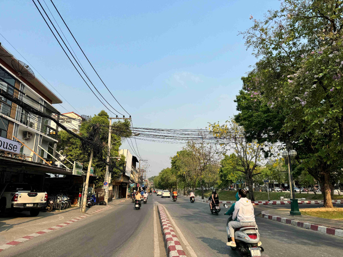 Others 5, MedyHouse, Muang Chiang Mai