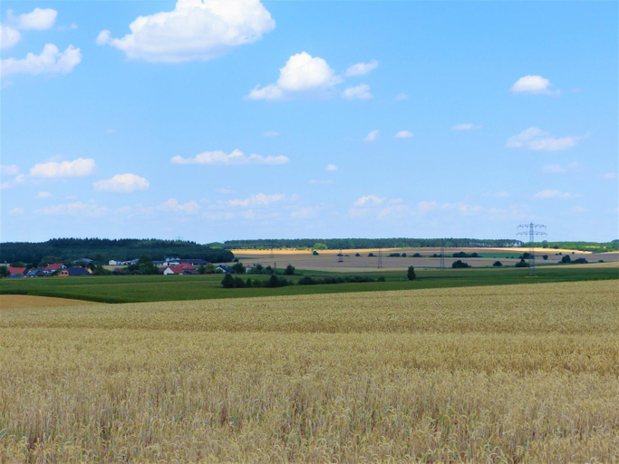 Others 4, Gruner Baum, Main-Tauber-Kreis
