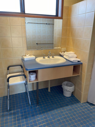 Bathroom 2, Milawa Motel, Wangaratta - South