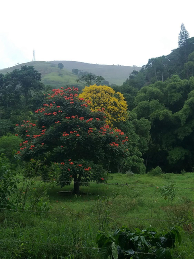 Others 2, Fazenda Piloes, Petrópolis