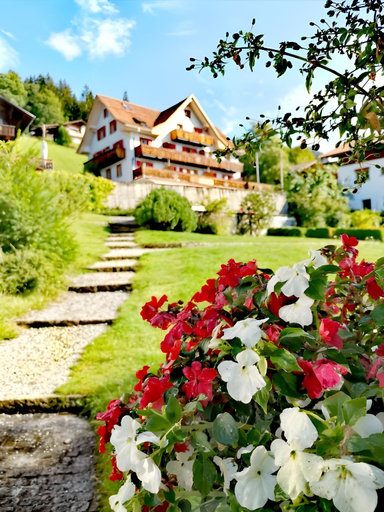 Others 4, Hotel Sterne, Interlaken