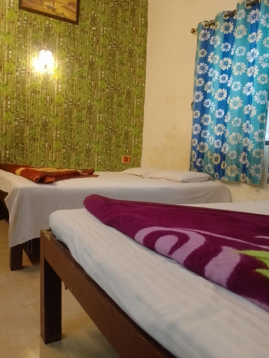 Bedroom 2, Sachin cottage, Raigarh