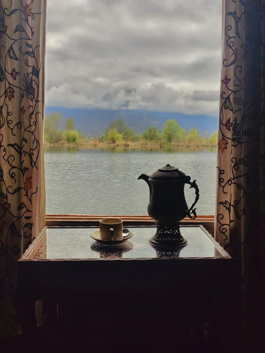 Public Area 2, Kings Houseboats, Srinagar