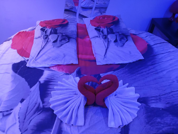 Bedroom 3, spa privatif Dydy's love saint amand les eaux, Nord