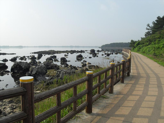 Others 5, Sun Flower Minbak, Seogwipo