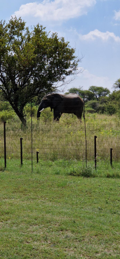 Others 5, Tamboti Bush Lodge, City of Tshwane
