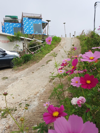 Others 5, The Moon House บ้านพักภูทับเบิก Phu Thap Buek, Lom Kao