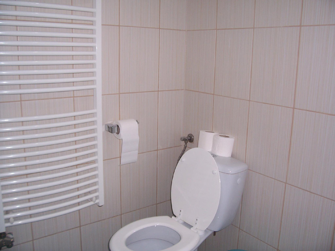 Bathroom 3, Triton Apartment Budapest, Budapesti