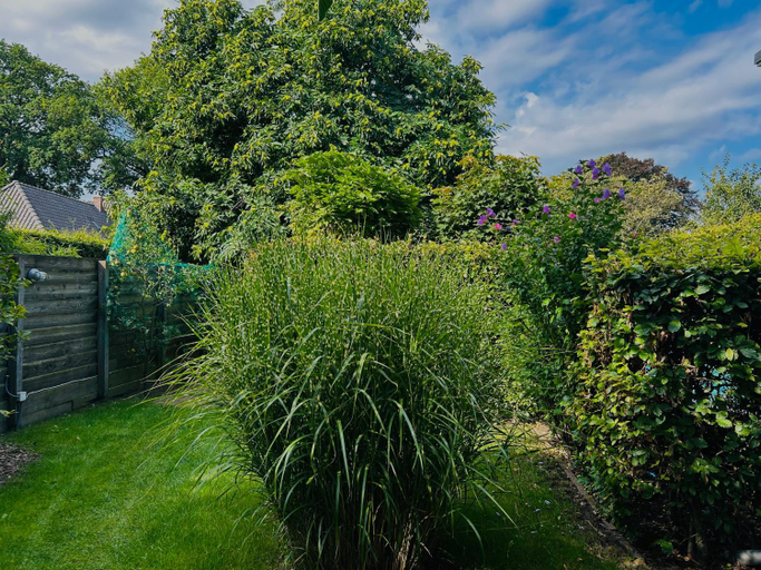 Others 5, Bed and Breakfast: 'Bij ons Achter', Haaren