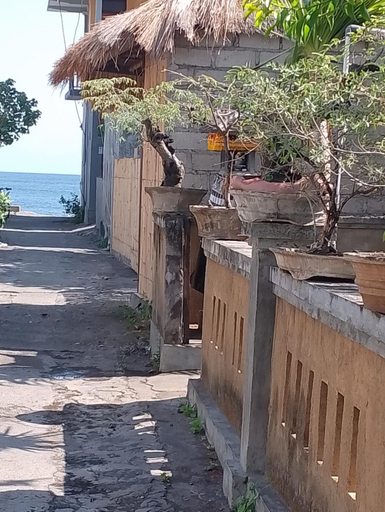 Others 3, Julio Amed Guest House, Karangasem