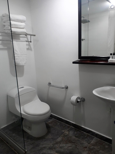 Bathroom, Poblado Campestre, Medellín