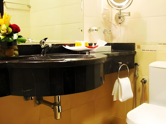Bathroom, Paragon Hotel, Abu Dhabi City