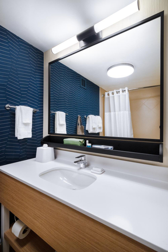 Bathroom 3, Spark by Hilton Brockville, Leeds and Grenville