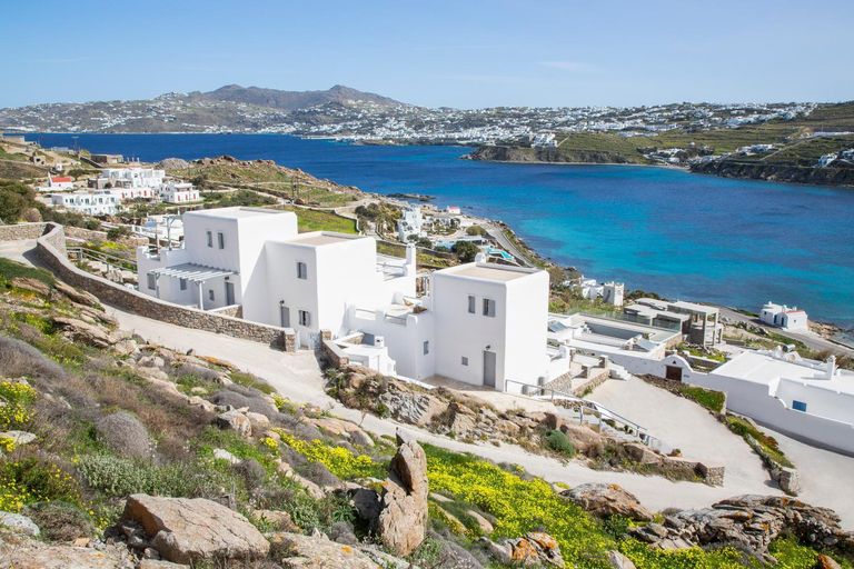 Others 5, MYKONOS-ORNOS -VILAS ANGEL ALICE DEMI -POOL HOLIDAYS with VIEW, South Aegean