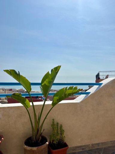 Others 3, Eunoia Houses, Agadir-Ida ou Tanane