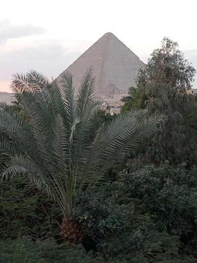Others 4, Sunset Pyramids Guest House, Al-Ahram