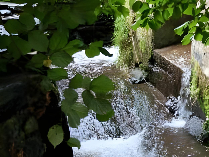 Surrounding environment
