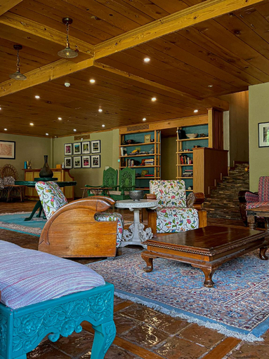 Public Area 2, Hotel Nadis, Srinagar