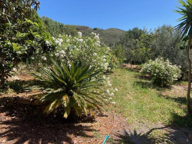 Others 3, Quinta Cornelia - Casas Novas, Alcoutim