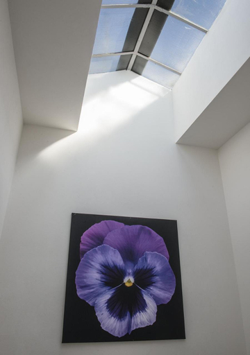 Others 4, Le Stanze dei Fiori, Bologna