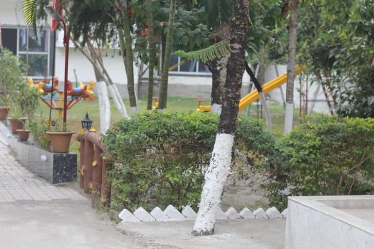 Others 5, Rose wood point, Jalpaiguri