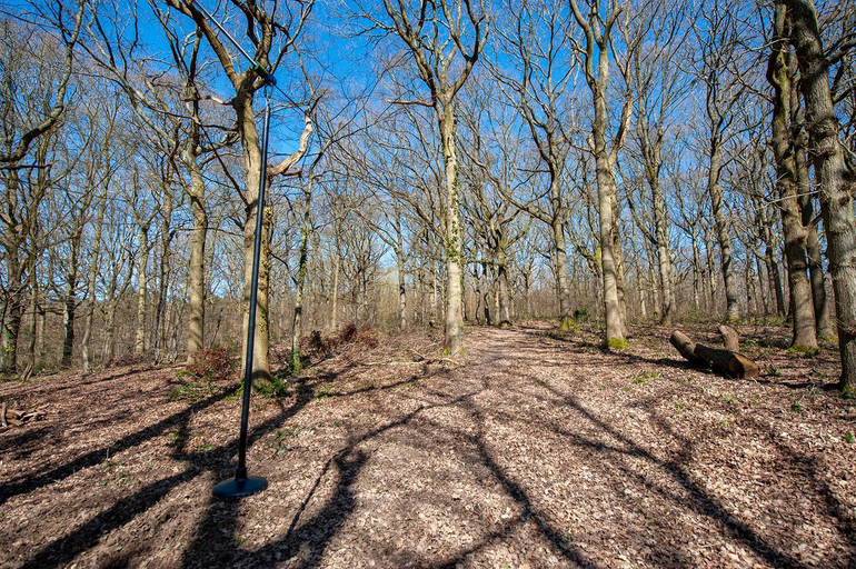 Others 4, Oakside Tree Tops, Kent