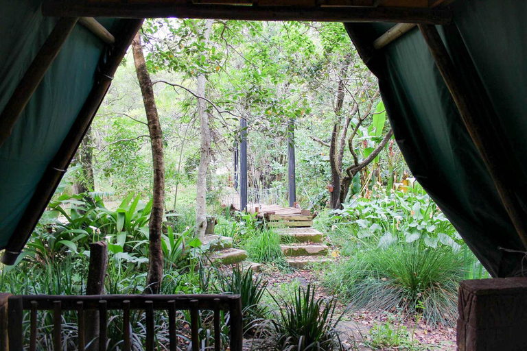 Others 4, Montrose River Lodge, Ehlanzeni