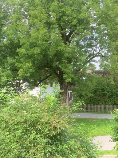 Others 4, Der Gschwendtnerhof, Miesbach