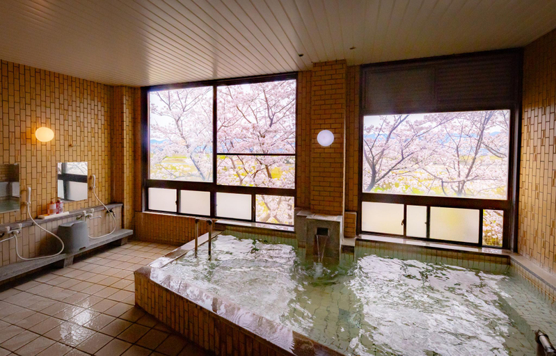 Bathroom 4, Ryokan Toyotomi, Asakura