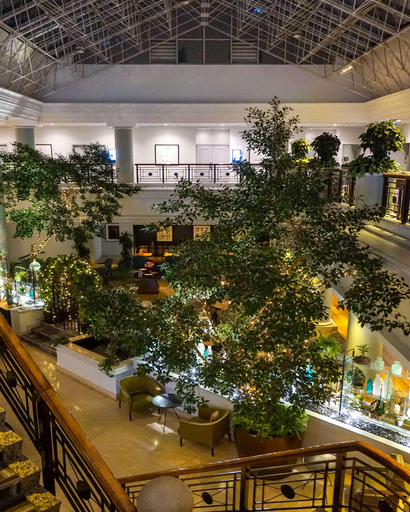 Public Area 5, Hyatt Regency Birmingham, Birmingham