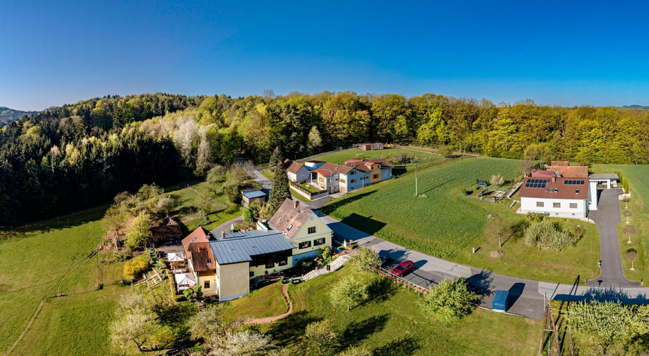 Exterior & Views 1, FerienAppartments Landhaus FuhlDichWohl, Südoststeiermark