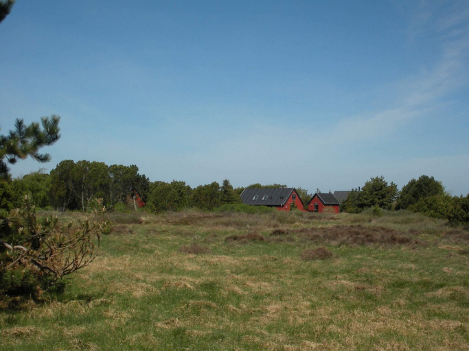 Others 5, person holiday home in Skagen-By Traum, Frederikshavn