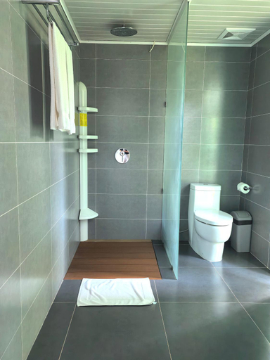 Bathroom 5, Blue Joys MSR, San Juan