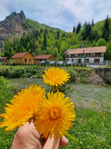 Others 4, Pensiunea Cheile Sugaului, Bicaz-chei