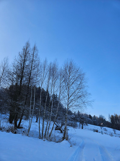 Others 5, Otulina Park, Nowy Targ