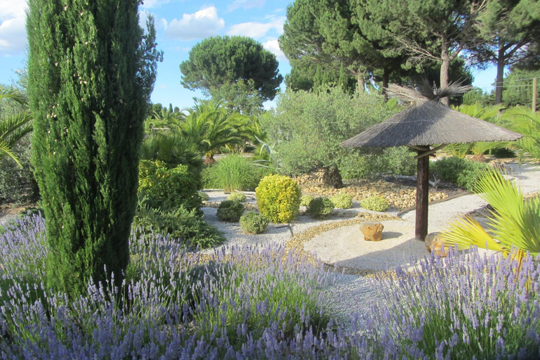 Others 5, La palmeraie, Aude