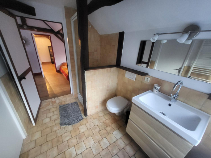 Bathroom 3, Les Oiseaux de Passage, Yonne