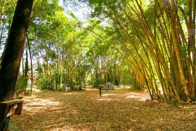 Surrounding environment 2, Camping & Cabanas Ilhabela, São Sebastião