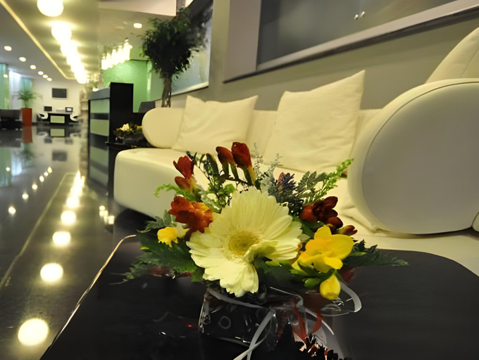 Public Area 3, Hotel EMD, Bacau