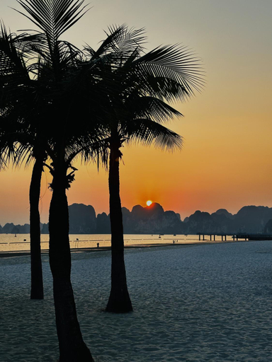 Others 5, Kim An Homestay, Pizza - Cafe, Hạ Long