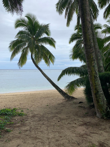 Others 4, Palm Tree Villas, Rorotonga