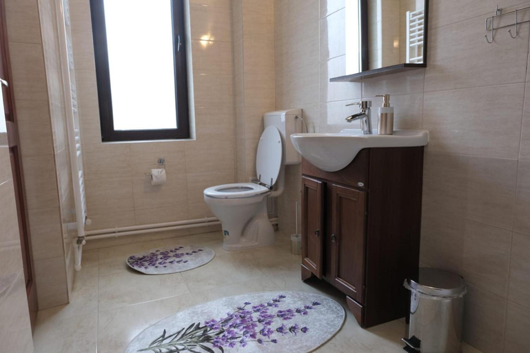 Bathroom, Casa Pelerinului, Noslac
