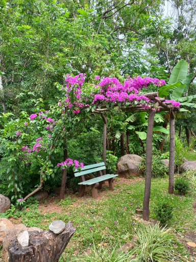 Others 4, Sitio Holistico Natureza Sanadora, Morro Reuter